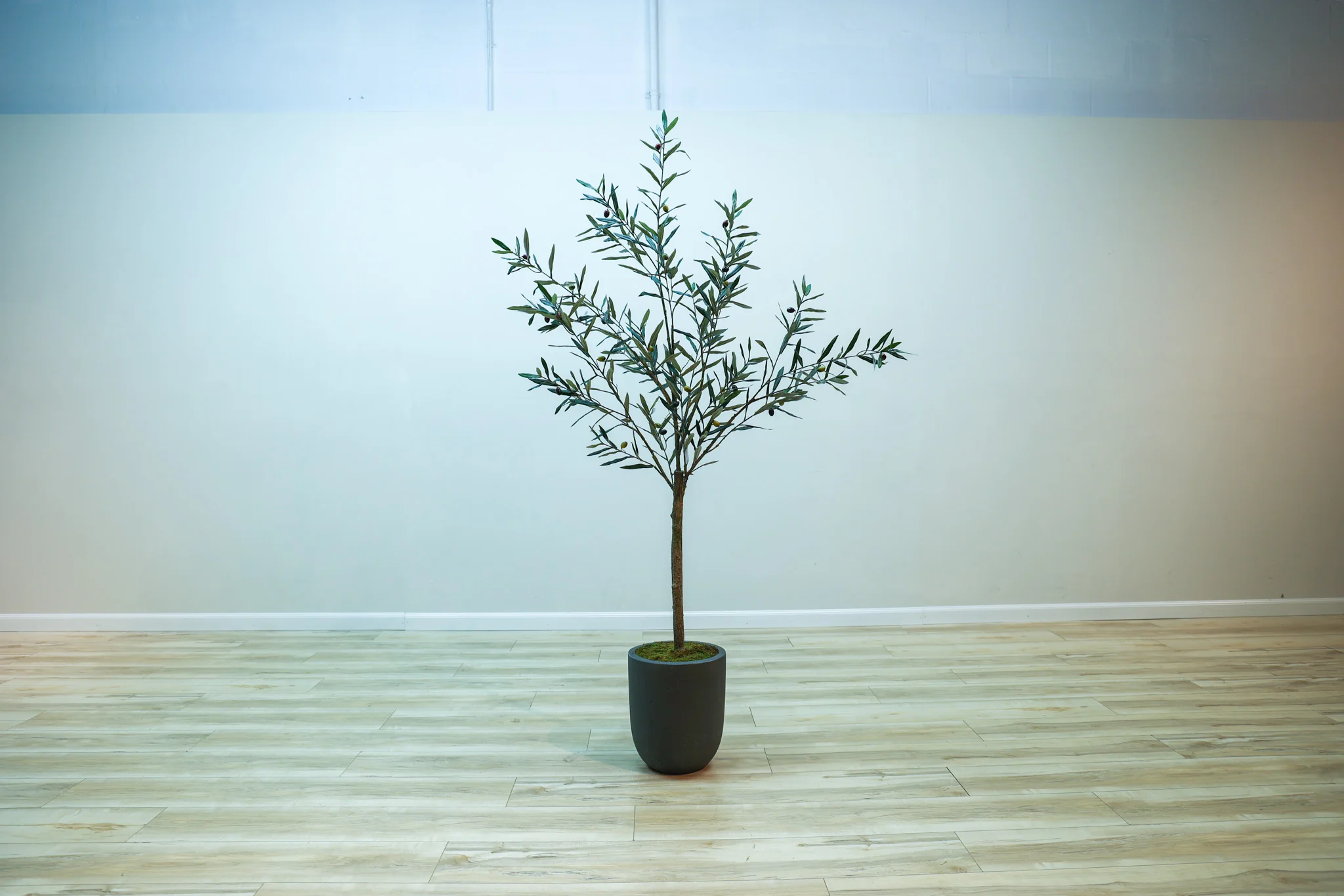 Faux Olive Tree - Image 4